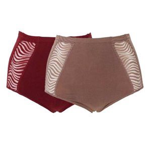 Rhonda Shear Lace Inset Panty Set of 2 X LARGE